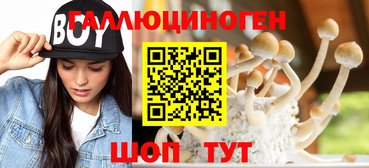 Крымск  купить наркотики сайты  Вход с VPN  Псилоцибиновые грибы мицелий 