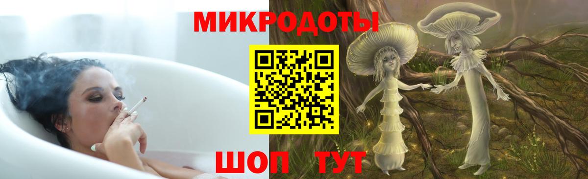 Галлюциногенные грибы Psilocybe Крымск
